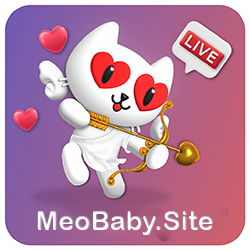 MEOBABY – App Live 18+ Gái Xinh Nhất Việt Nam
